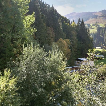 Apartment In Salzburgerland Near The Ski Area Вихофен Екстериор снимка