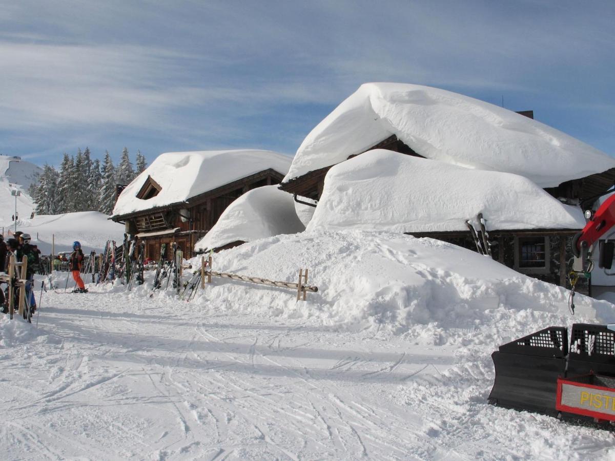 Apartment In Salzburgerland Near The Ski Area Вихофен Екстериор снимка