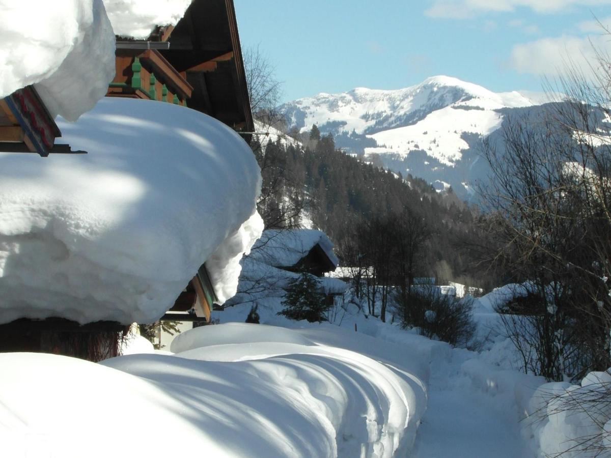 Apartment In Salzburgerland Near The Ski Area Вихофен Екстериор снимка