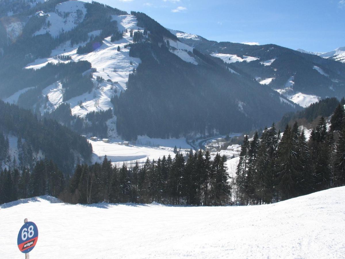 Apartment In Salzburgerland Near The Ski Area Вихофен Екстериор снимка
