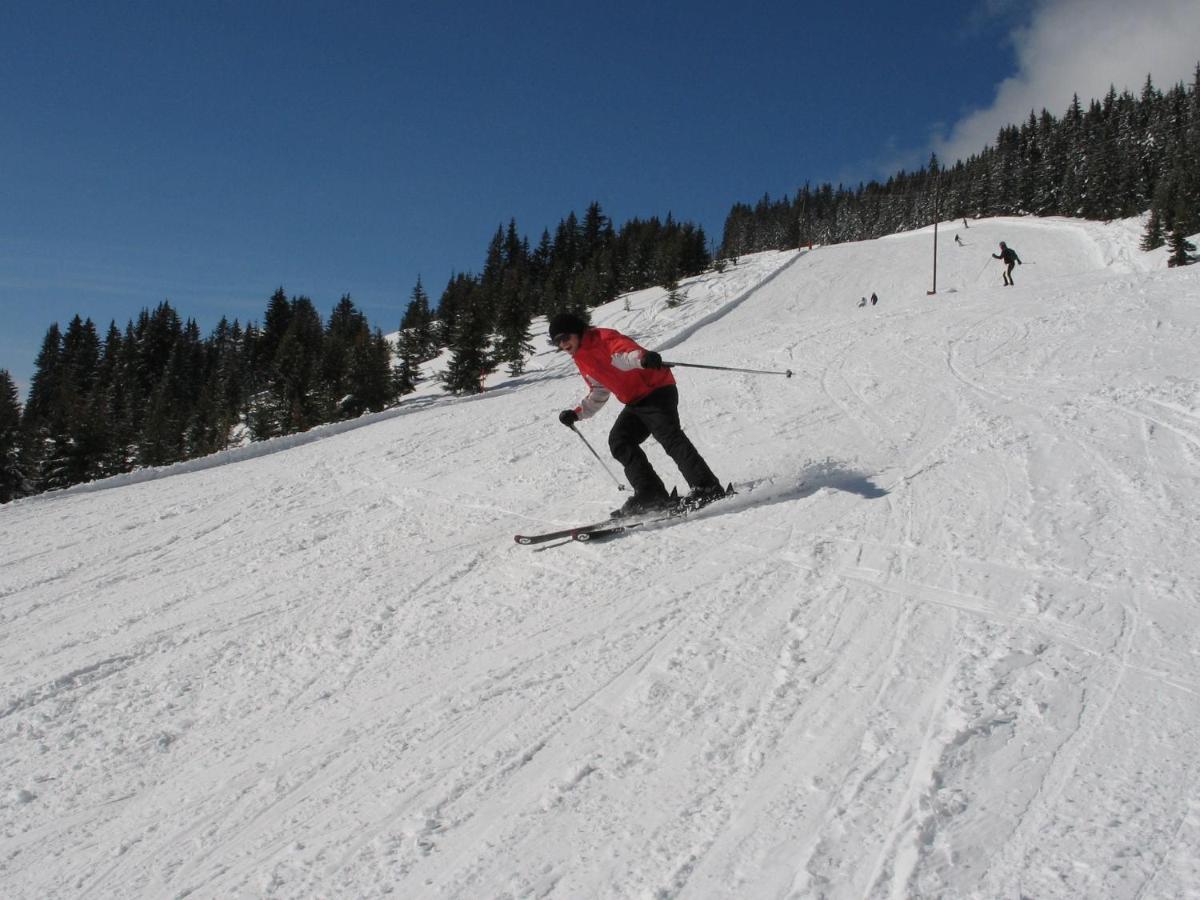 Apartment In Salzburgerland Near The Ski Area Вихофен Екстериор снимка